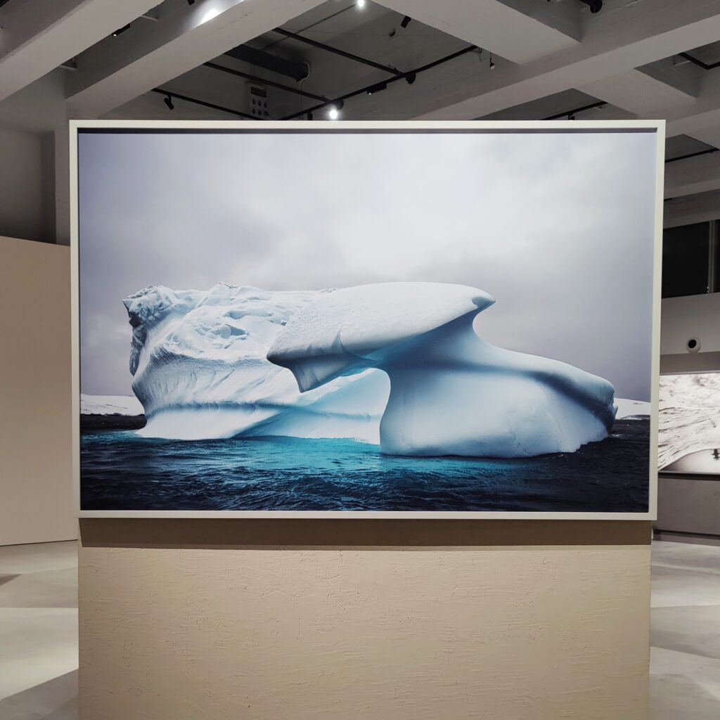 Exposed at Gallerie d-Italia - Cristina Mittermeir, Un Pianeta Oceano / An Ocean Planet