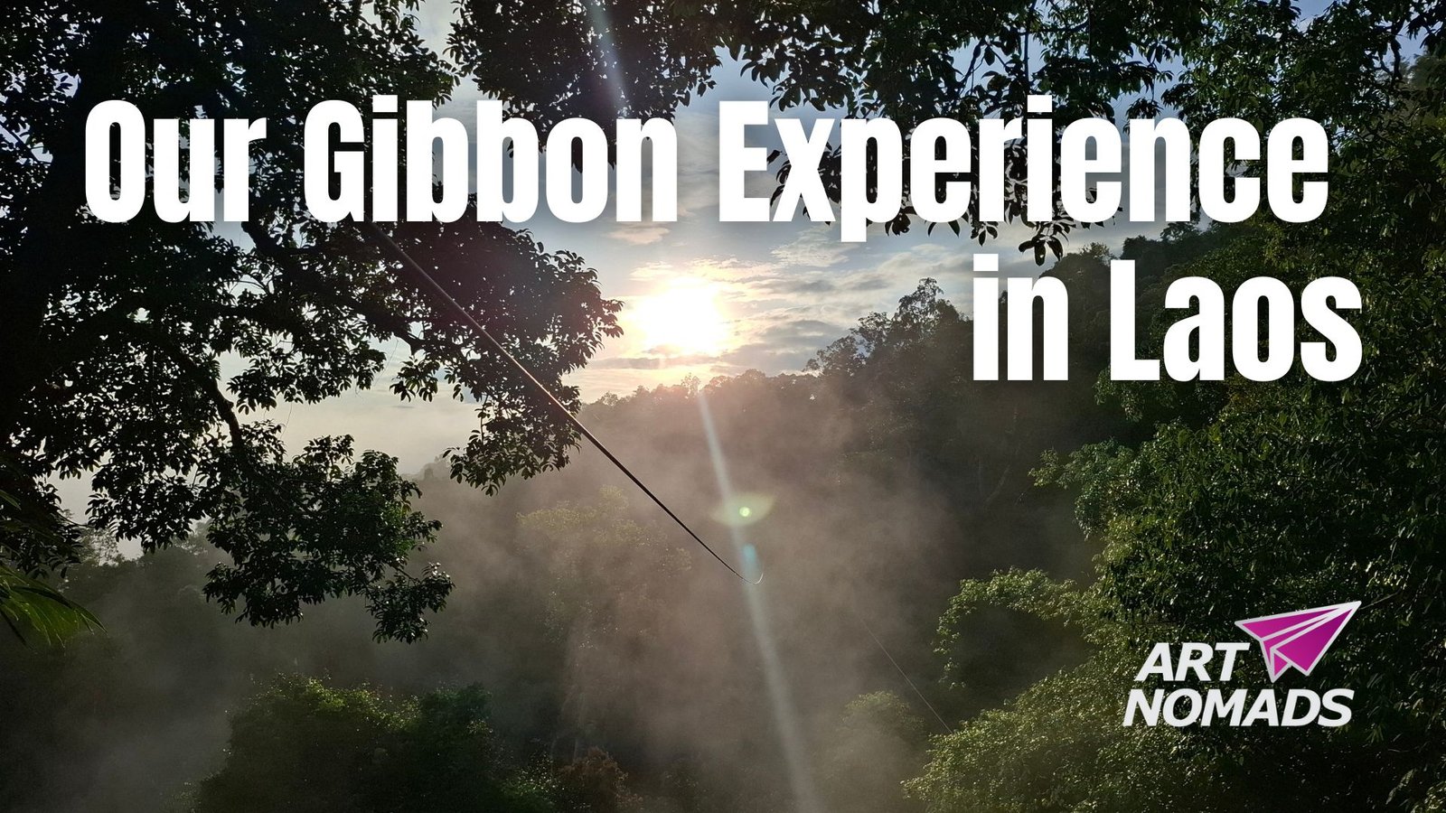 The Gibbon Experience (Laos): Insider Tips From Real Adventurers